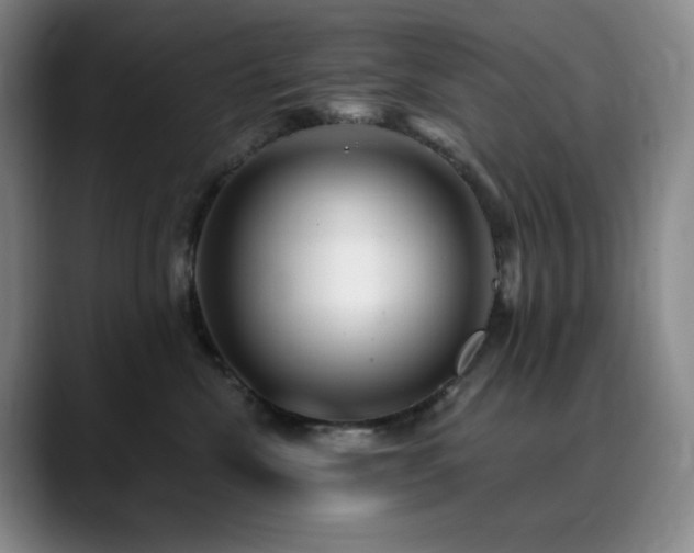 X0000090440476200707131223