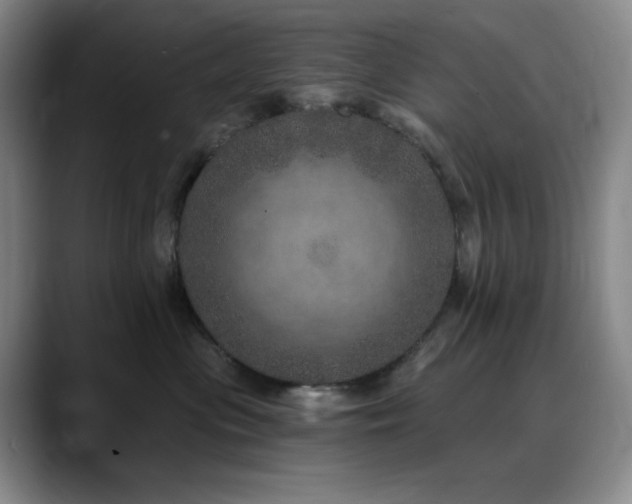 X0000090440477200707131223