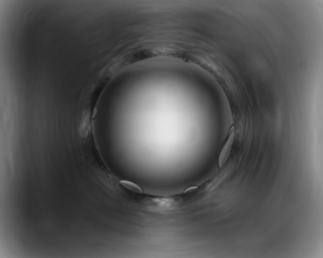 X0000090440478200707131223