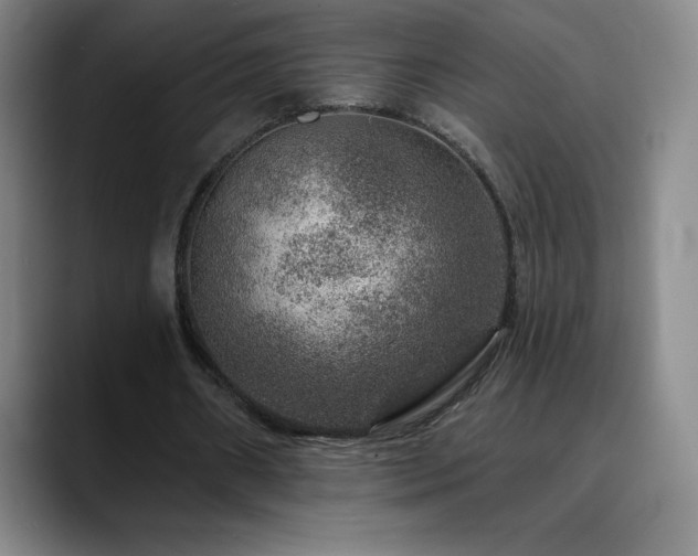 X0000090440482200707131222