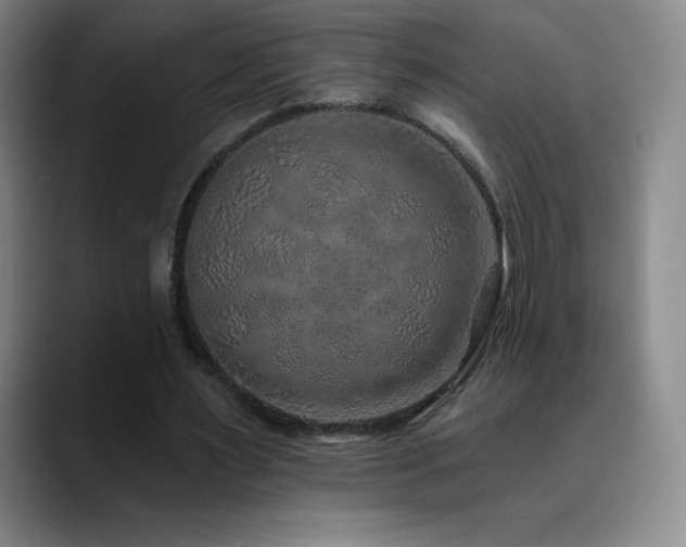 X0000090440483200707131222