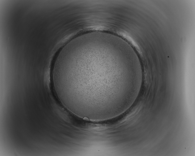 X0000090440486200707131222