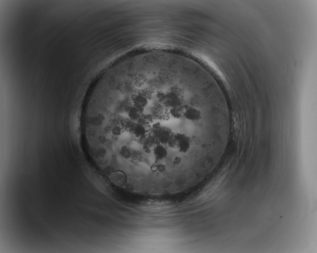 X0000090440487200707131222