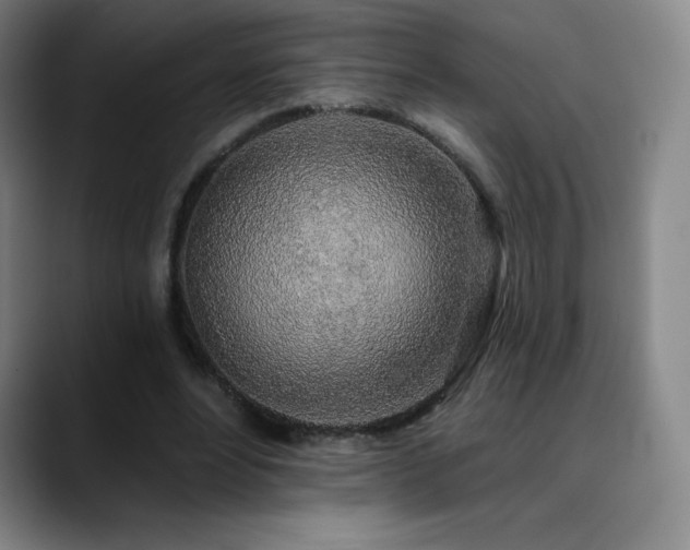 X0000090440488200707131222