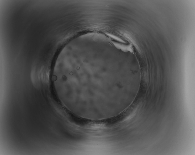 X0000090440491200707131222