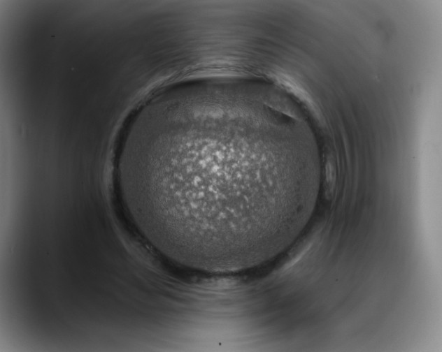 X0000090440492200707131222