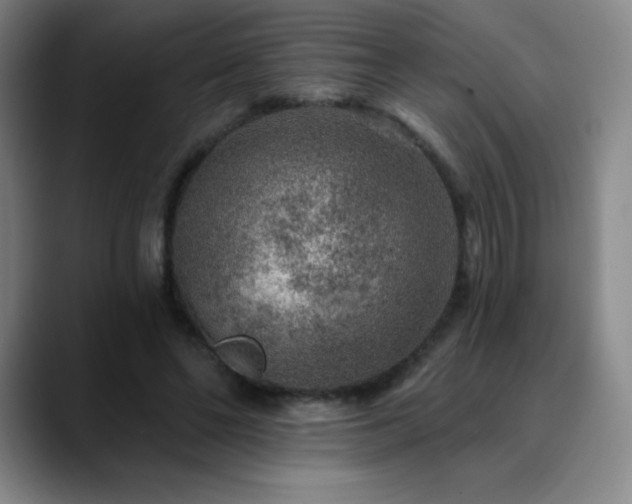 X0000090440494200707131222