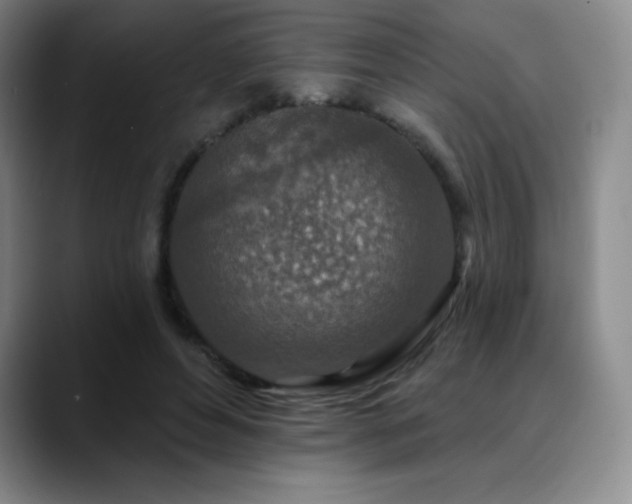 X0000090440496200707131222