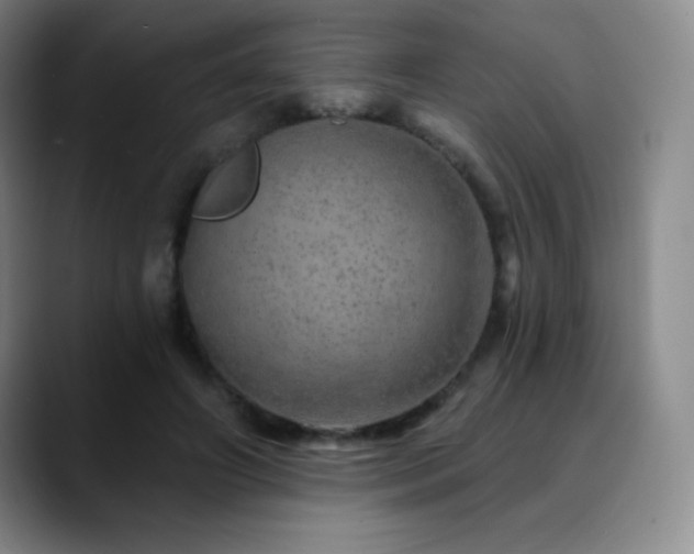 X0000090440498200707131222