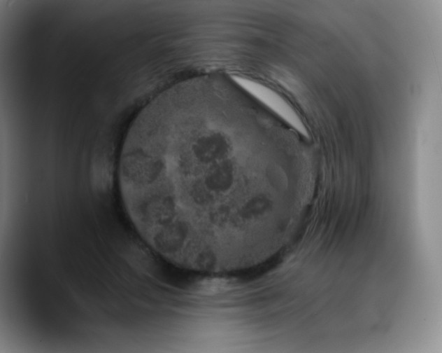 X0000090440499200707131222