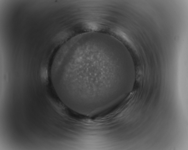 X0000090440500200707131222