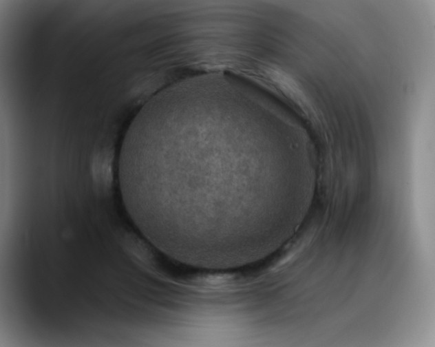 X0000090440501200707131222