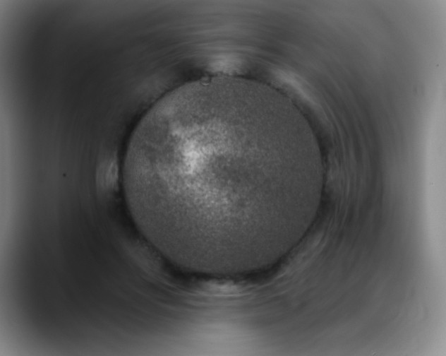 X0000090440502200707131222