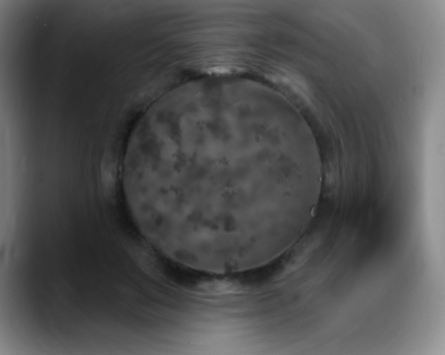 X0000090440503200707131222