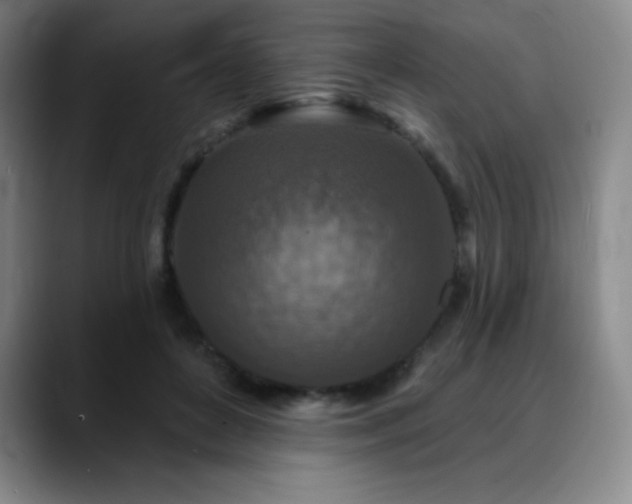 X0000090440504200707131222