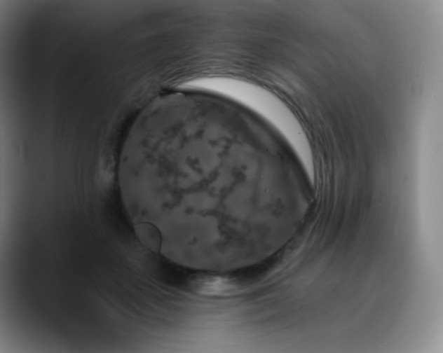 X0000090440507200707131222