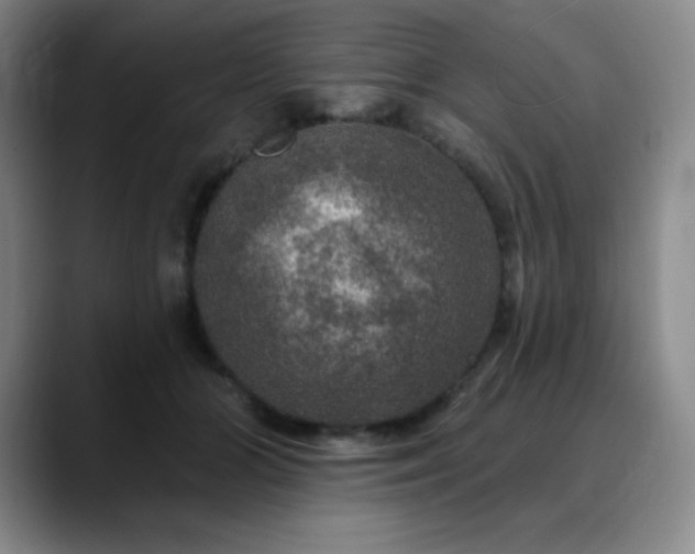 X0000090440510200707131222