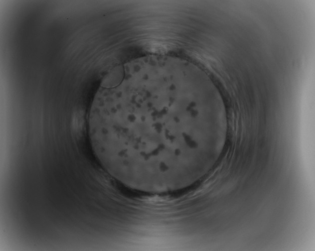 X0000090440511200707131222