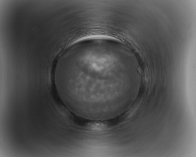 X0000090440512200707131222