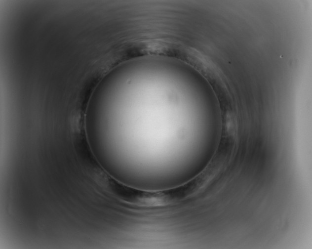 X0000090440514200707131222