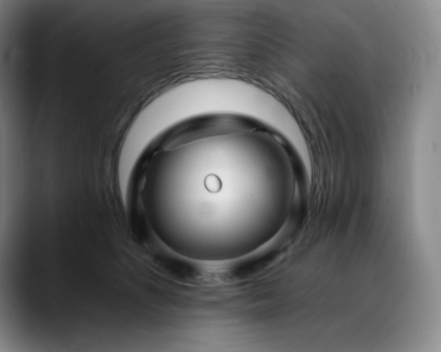 X0000090440516200707131222