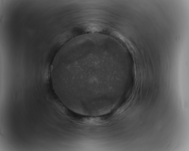 X0000090440517200707131222