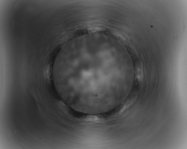 X0000090440519200707131222