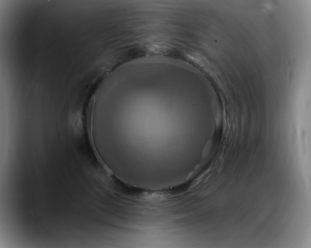 X0000090440520200707131222