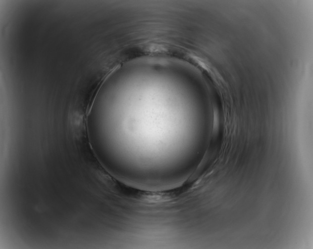 X0000090440521200707131222