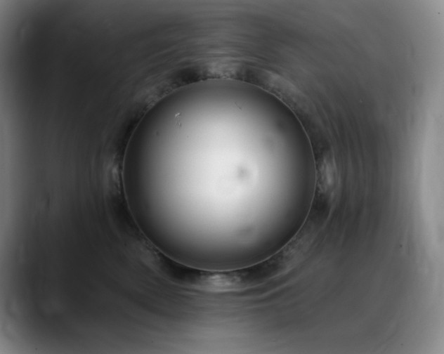 X0000090440522200707131222