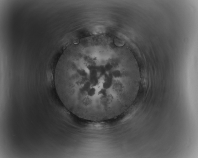 X0000090440523200707131222