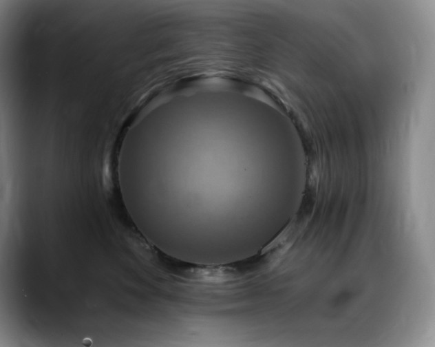 X0000090440524200707131222