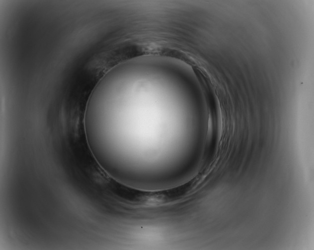 X0000090440525200707131222