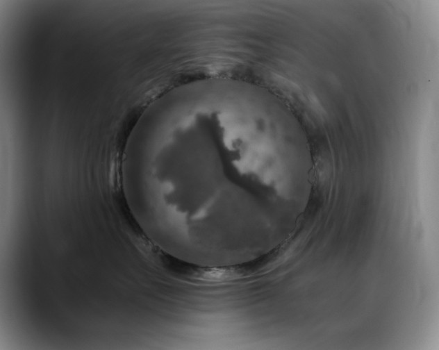 X0000090440527200707131222