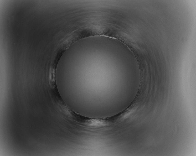 X0000090440528200707131222