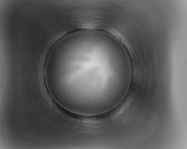 X0000090440529200707131221