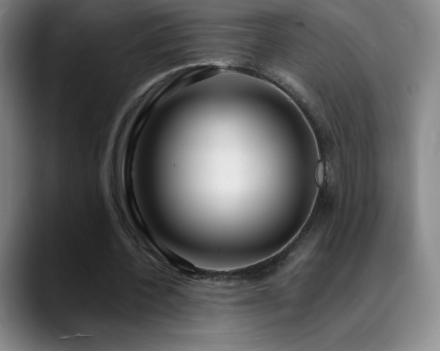 X0000090440532200707131221