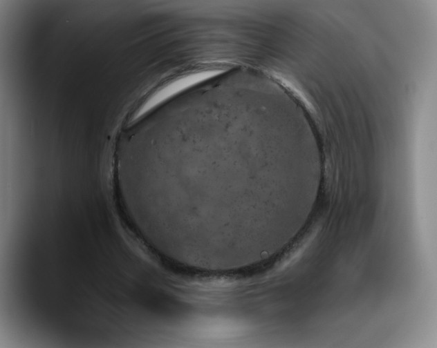 X0000090440533200707131221