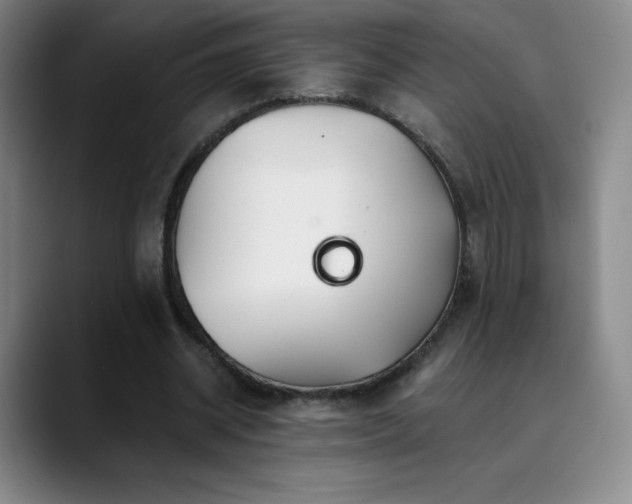 X0000090440534200707131221