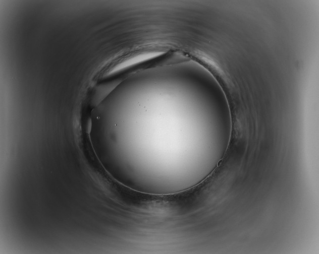 X0000090440535200707131221