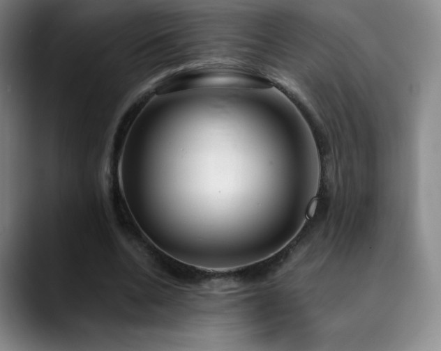 X0000090440536200707131221