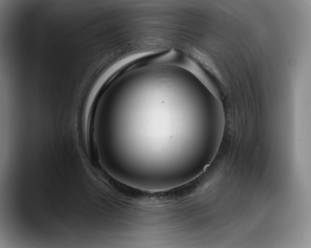 X0000090440538200707131221