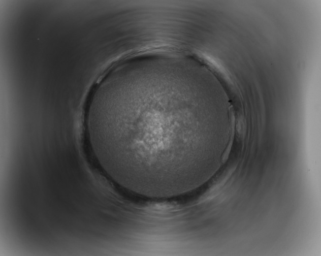 X0000090440540200707131222