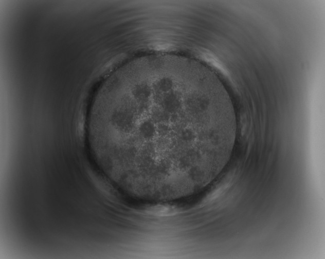 X0000090440542200707131222