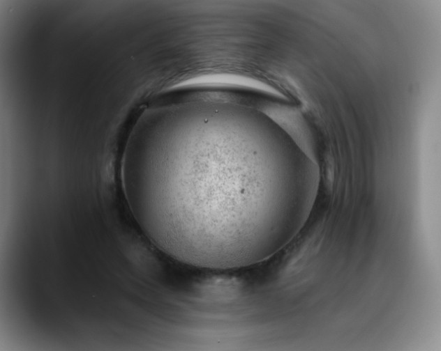 X0000090440543200707131222