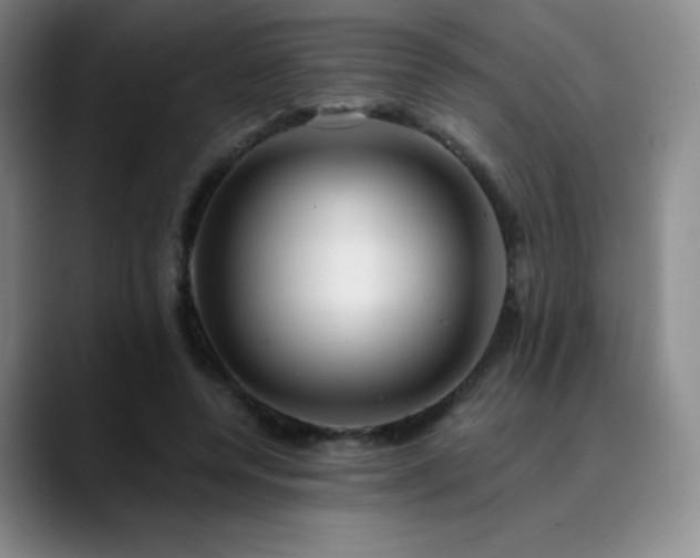 X0000090440544200707131222