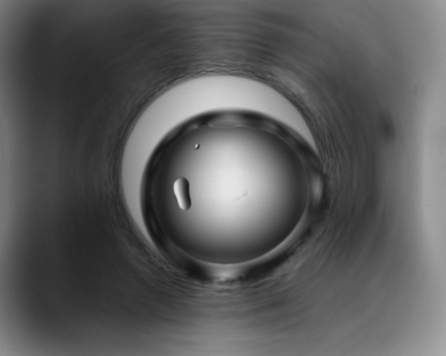 X0000090440546200707131222