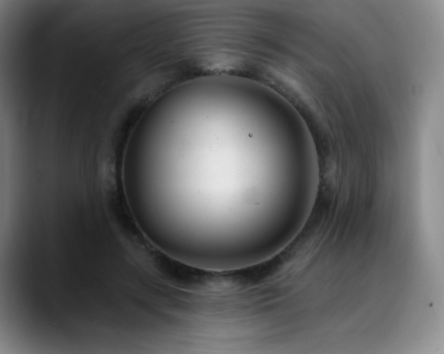 X0000090440547200707131222