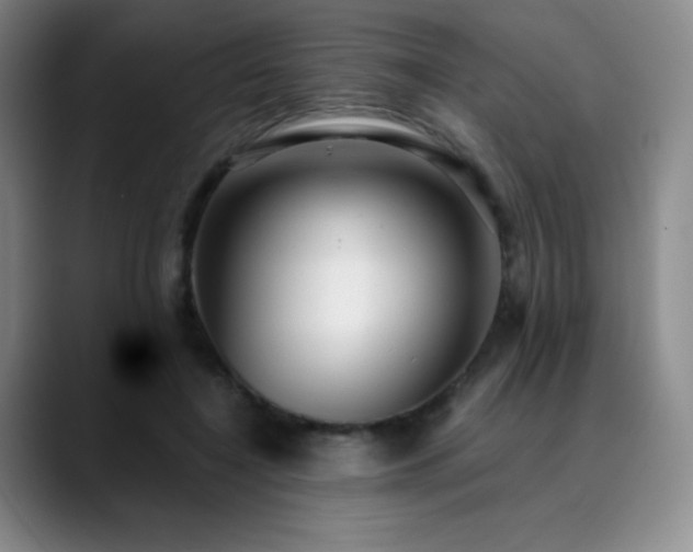 X0000090440548200707131222