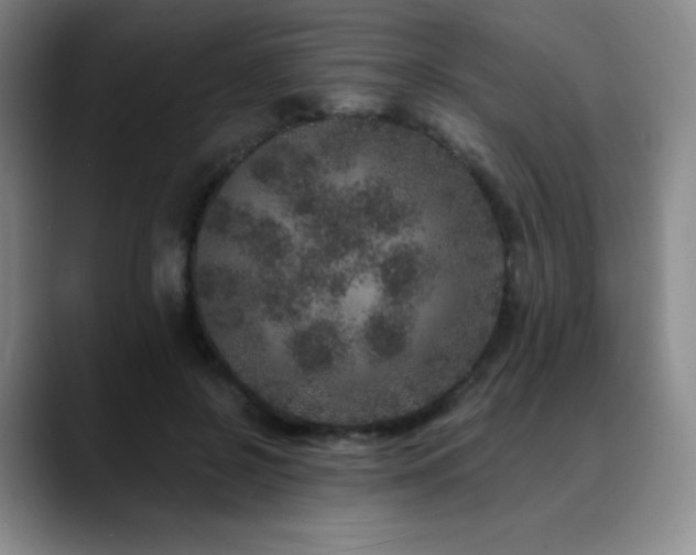 X0000090440550200707131222